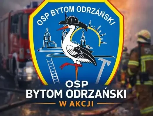 Powalone drzewo w Małaszowicach – interwencja strażaków z Bytomia Odrzańskiego