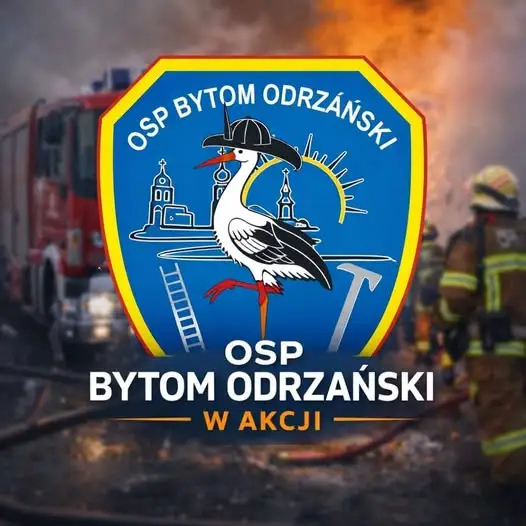 Powalone drzewo w Małaszowicach – interwencja strażaków z Bytomia Odrzańskiego