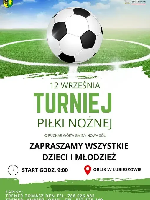Turniej piłki nożnej o Puchar Wójta Gminy Nowa Sól na Orliku w Lubieszowie