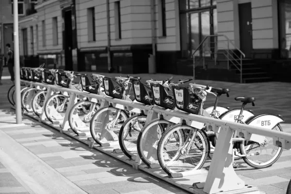 Dzień Bez Samochodu 2026 – zostaw auto w garażu i wybierz rower