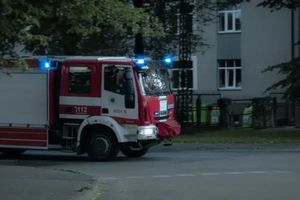 Szop na prywatnej posesji w Kożuchowie – interwencja straży pożarnej