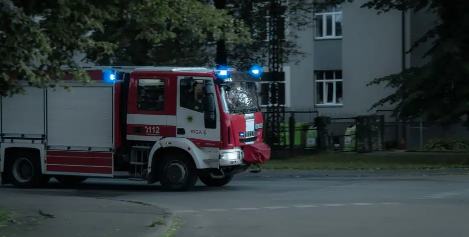 Szop na prywatnej posesji w Kożuchowie – interwencja straży pożarnej